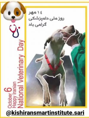 Happy National Veterinary Day